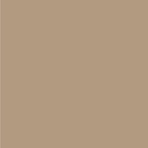 HPL Solid Beige Colour