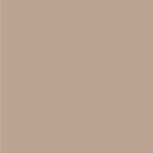 HPL Solid Champagne Hex Colour