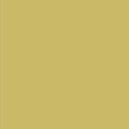 HPL Solid Yellow Cream Colour