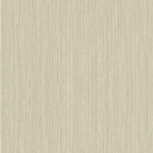 BBWAC-4075 HPL Woodgrain Ebony Pain Ash Colour
